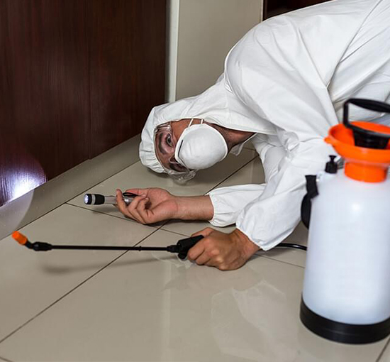 Pest Control Service in CG Road Ahmedabad