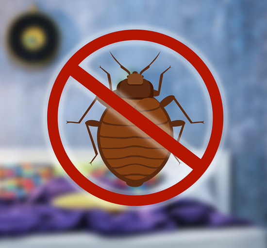 Bed Bug Control Service